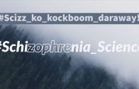 New Research on Schizophrenia