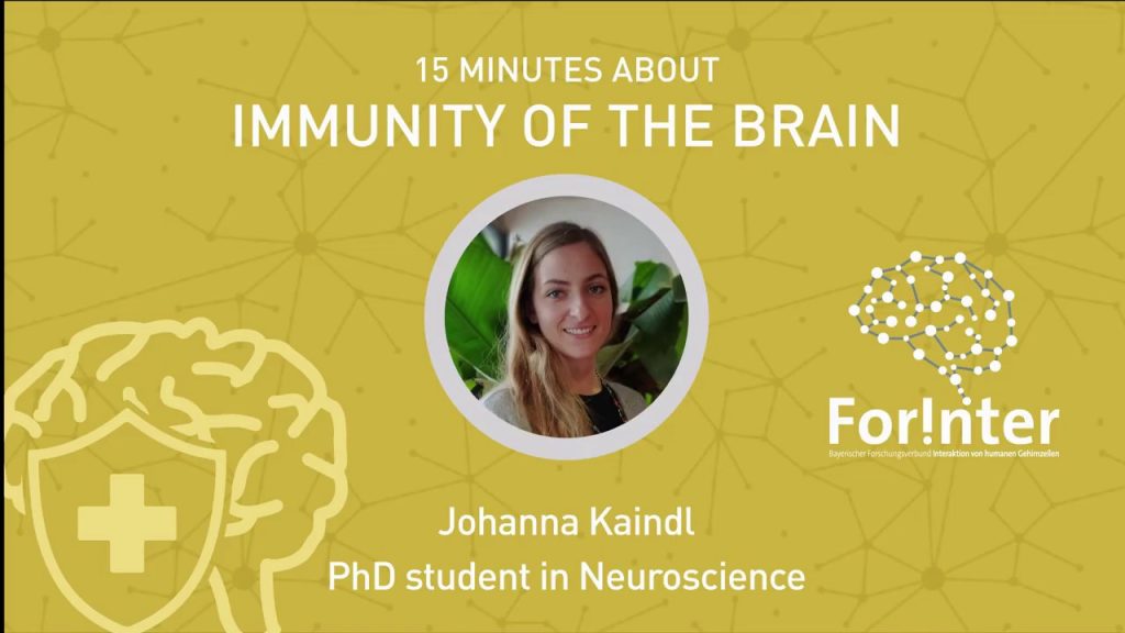 15 minutes about Brain Immune System